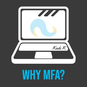 Read more about the article Why MFA?
